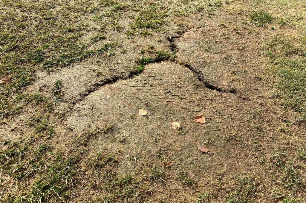 Do you get relief from cracks in ground? | National Club Golfer Do you get relief from cracks in ground? | National Club Golfer